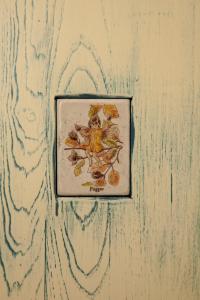 桑格羅堡的住宿－提格里奧酒店，墙上的鸟儿画