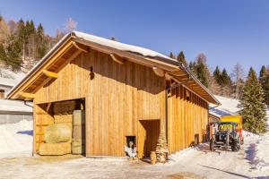 drewniana stodoła z psem stojącym na zewnątrz w obiekcie Agritur Broch w mieście Fiera di Primiero