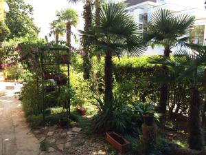 Ein Garten an der Unterkunft Bed & Breakfast Borka