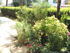 Ein Garten an der Unterkunft Bed & Breakfast Borka