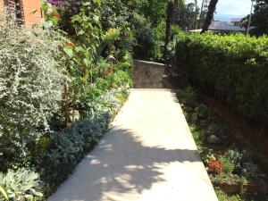 Ein Garten an der Unterkunft Bed & Breakfast Borka