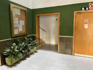 een hal met groene muren en een deur en planten bij Apartamento en Salou in Salou