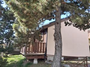 a cabin with a porch next to a tree at chalet de l ours in Bolquere Pyrenees 2000