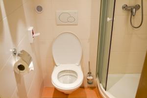 Kúpeľňa v ubytovaní Apartmány Podyjí