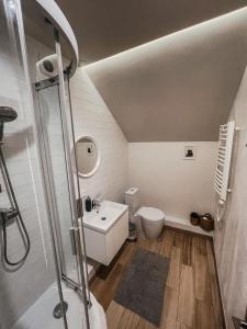 La salle de bains est pourvue d'une douche, de toilettes et d'un lavabo. dans l'établissement Old Town Apartment, à Marijampolė