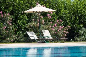 Bazén v ubytování Hotel Peli nebo v jeho okolí