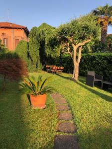 a garden with a potted plant on a pathway at Villa Dacri in Venice-Lido +13 photos