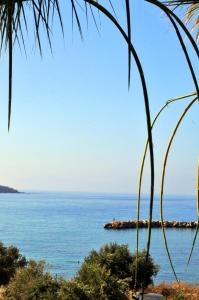 a view of the ocean from a palm tree at Nikoleta's Studios in Drios