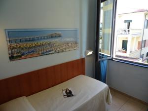 Gallery image of Hotel Sole E Mare in Lido di Camaiore