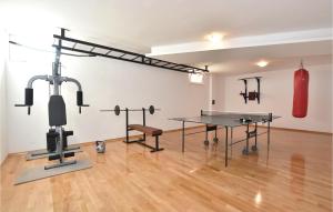 Fitness centrum a/nebo fitness zařízení v ubytování Lovely Home In Rumin With Kitchen