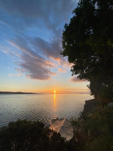 Foto dalla galleria di Villa Franko a Prizna