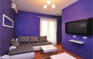 TV a/nebo společenská místnost v ubytování Holiday Home Vlaska Iii