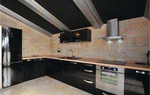 Kuchyň nebo kuchyňský kout v ubytování Holiday Home Vlaska Iii