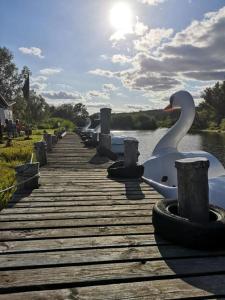 a white swan is sitting on a dock at Eichis Landliebe in Gorschendorf