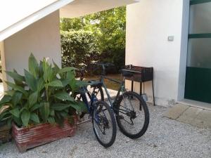 una bicicleta estacionada al lado de un edificio al lado de una planta en Dimora Liccisa, en Torre Lapillo