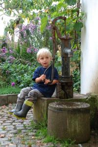 Foto dalla galleria di Ferienbauernhof Moarhof a Wittelshofen