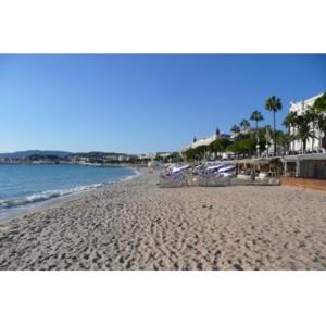 vistas a una playa de arena con palmeras y al océano en Boutique Hotel Couleurs Suds, en Cannes 81 fotos más