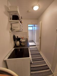 Kuchyň nebo kuchyňský kout v ubytování Guest House Vanttaus