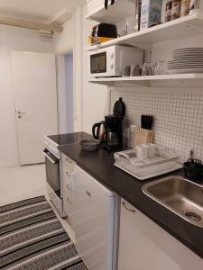 Kuchyň nebo kuchyňský kout v ubytování Guest House Vanttaus