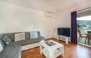 TV a/nebo společenská místnost v ubytování Two-Bedroom Apartment In Blace