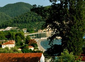 Priroda u blizini apartmana