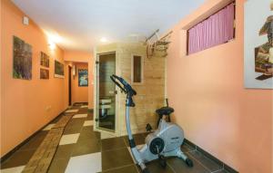 Phòng/tiện nghi tập thể dục tại Stunning Home In Krasic With Sauna