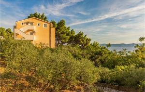 ジヴォゴシュチェにあるApartment Zivogosce 31の茂みの丘の上の家