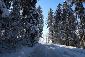 uma estrada coberta de neve com árvores em cada lado em Ferien im Waldachtal em Waldachtal