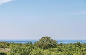 a view of the ocean from a hill with trees at Apartment Gajana Croatia in Gajana