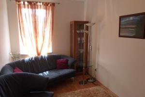 - un salon avec un canapé bleu et une fenêtre dans l'établissement Apartmán Radmila, à Luhačovice