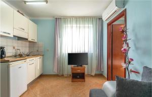 A kitchen or kitchenette at Nice Apartment In Liznjan With 1 Bedrooms And Wifi