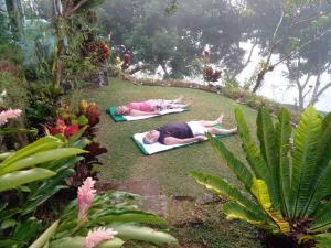 Gallery image of Sinharaja Holiday Bungalow in Tinniyawala +24 photos