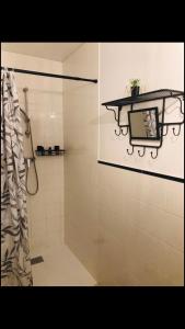 La salle de bains est pourvue d'une douche, d'un lavabo et d'un miroir. dans l'établissement Gîte Baie Bonheur, à Genêts