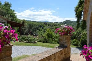 widok z ogrodu domu z kwiatami w obiekcie Bellavista w mieście Seggiano