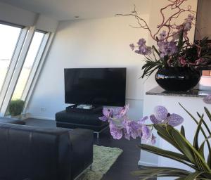 a living room with a couch and a tv at Appartement Modern Egmond in Egmond aan Zee