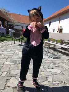 Hosté ubytování Penzion a hospoda Na statku