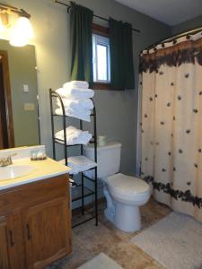 a bathroom with a toilet and a sink and a shower at Maple Chalet by VCI Real Estate Services in Beech Mountain