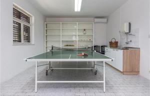 Stolný tenis v ubytovaní Six-Bedroom Holiday Home In Sv, Filip I Jakov alebo v jeho okolí