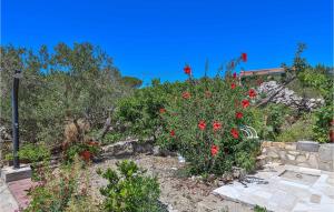 Zahrada ubytování Holiday Home Borak Cr + 15 fotografií