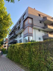 un edificio con un seto delante de él en Deco Hogar, en Pucón