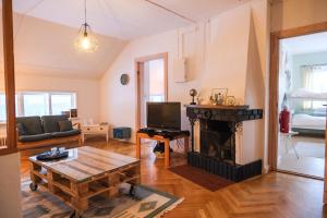 a living room with a fireplace and a couch at The Mangevie in Furudal