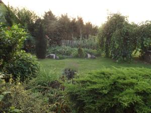 Giardino di Hévízi fecskefészek