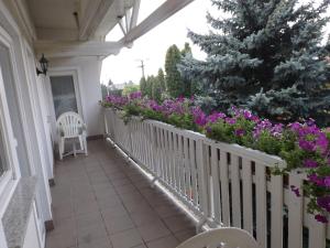 Balcone o terrazza di Hévízi fecskefészek