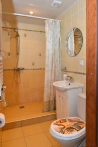 a bathroom with a toilet and a shower and a sink at Kristinos Apartamentai - Vytauto in Palanga