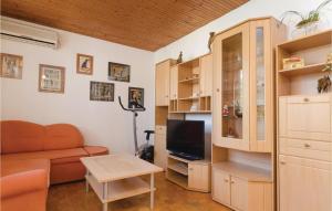 a living room with a couch and a tv at Nice Apartment In Vela Luka With Wifi in Vela Luka