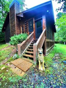 Cabin with a Creek Screened in porch, fire pit