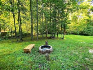 Cabin with a Creek Screened in porch, fire pit