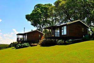 a house on top of a grassy hill at Forest View Cabins in Tzaneen