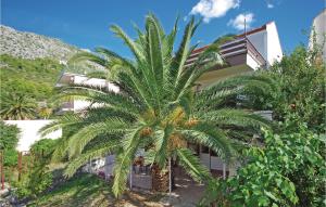 a palm tree in front of a building at 4 Bedroom Pet Friendly Home In Podaca in Podaca