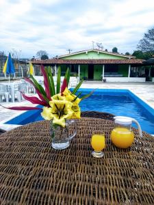 a vase of flowers and two glasses of orange juice at Pousada Recanto Dos Tucanos in Capitólio